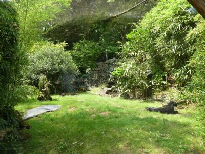 Panthère noire - 2021