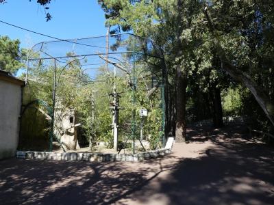 Calao de Decken - 2022