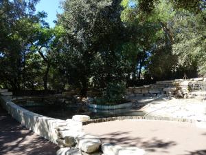 Manchot du Cap