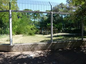 Tigre