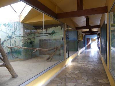 Volière intérieure - 2022