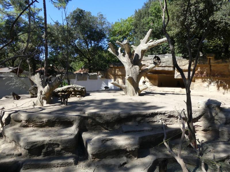 Mandrill