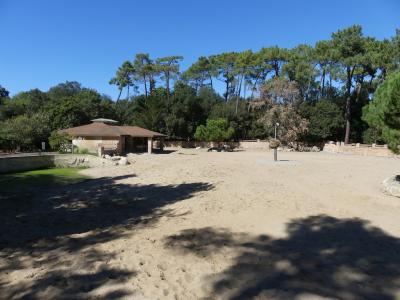 Rhinocéros blanc - Oryx algazelle - Zèbre de Grévy - 2022
