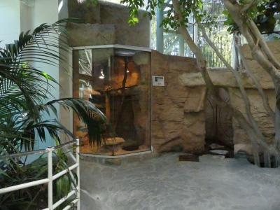 Anaconda vert - 2022