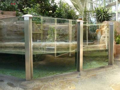 Crocodile du Nil - 2022