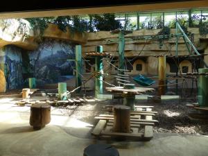 Grands singes