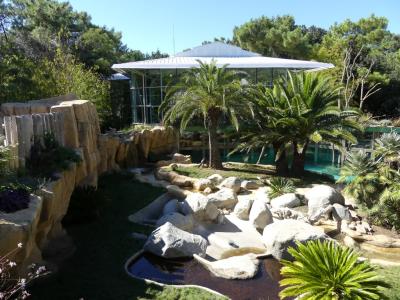 Loutre géante - 2022