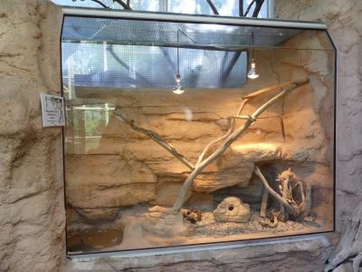 Python molure - 2022