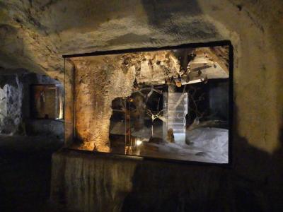 Roussette de Rodrigue - Roussette d'Egypte - 2022