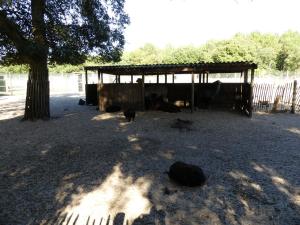 Petite ferme