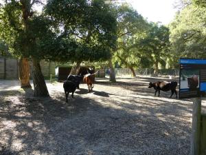 Petite ferme