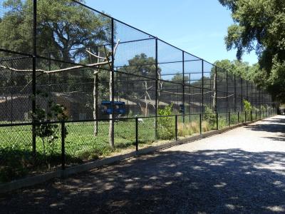 Volières de la collection des grues - 2019