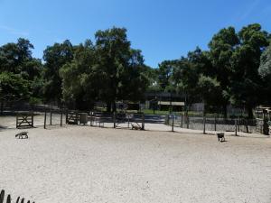 Petite ferme