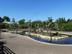 Plaine asiatique