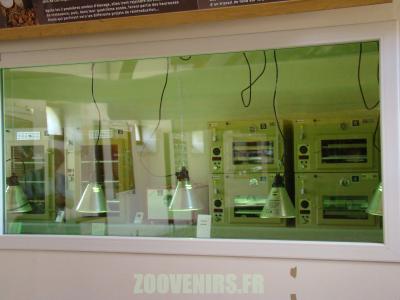 Centre d'élevage - 2010