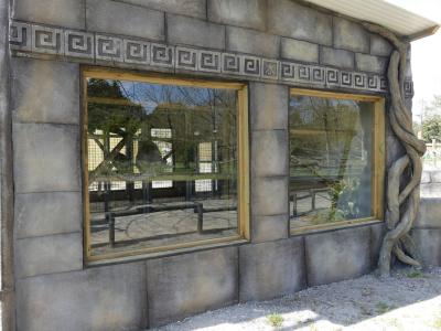 Langur hanuman - 2022