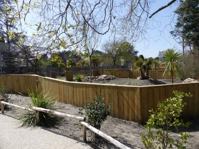 Chien des buissons - 2022