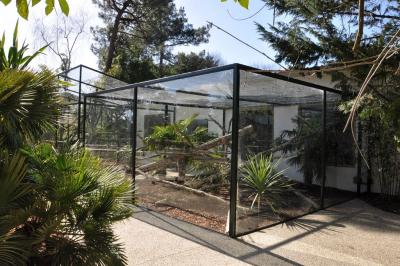 Tamarin pinché - 2022