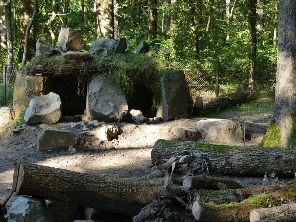 Porc épic- Pintade de Numidie - 2020