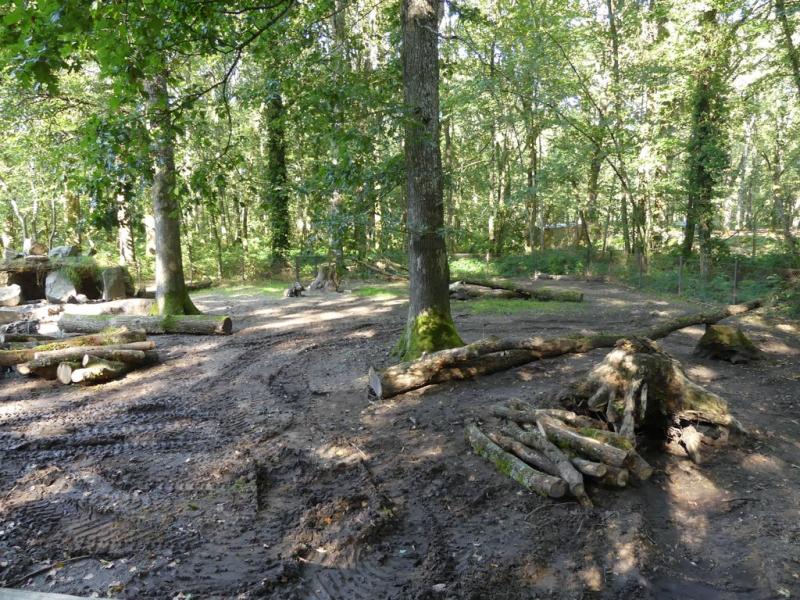 Porc épic- Pintade de Numidie