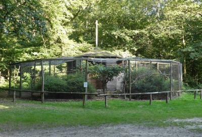 Série de volières - 2020