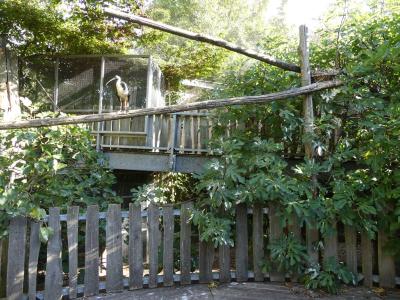 Volière océanienne - 2019