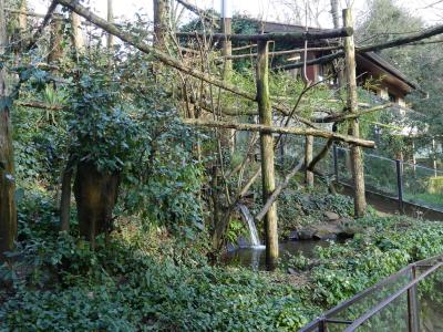 Panda roux - Loutre naine - 2019