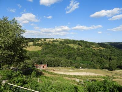 Plaine africaine - 2019