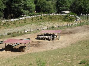 Plaine africaine