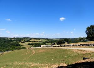 Plateau des hardes