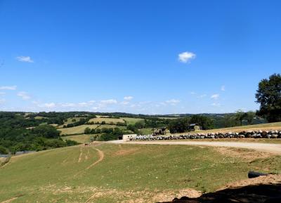 Plateau des hardes - 2019