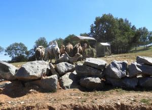 Plateau des hardes