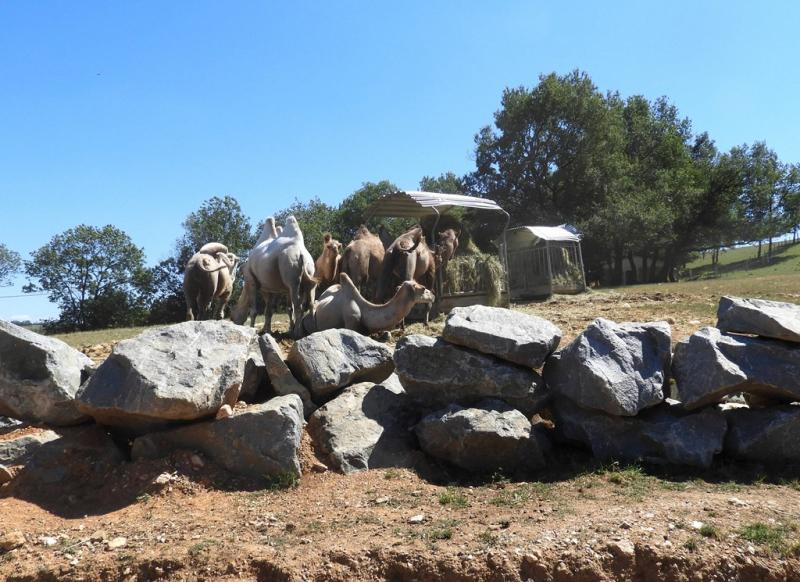 Plateau des hardes