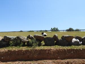 Plateau des hardes