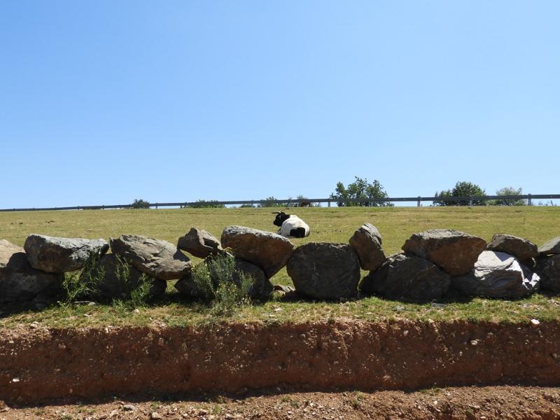 Plateau des hardes