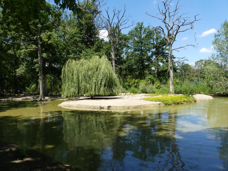 Plan d'eau