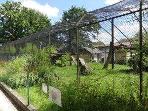 Panthère