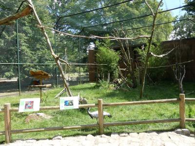 Volière des perroquets