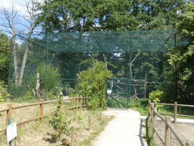 Volière des perroquets