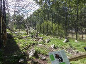 Volière des singes