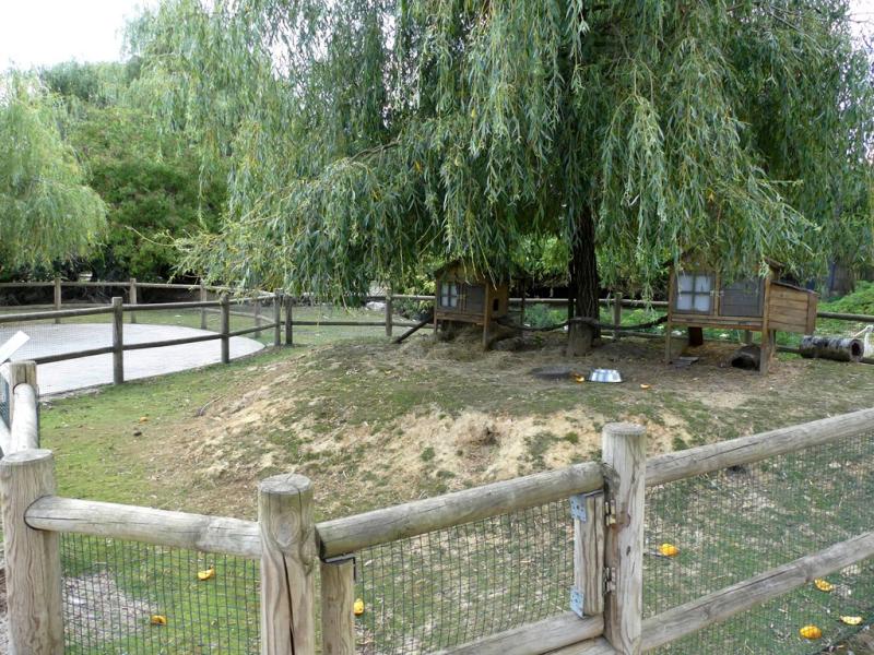 Petite ferme