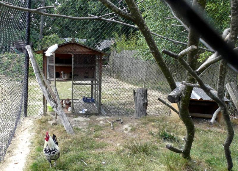 Petite ferme