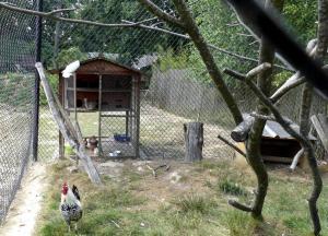 Petite ferme