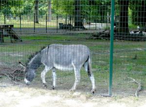 Petite ferme