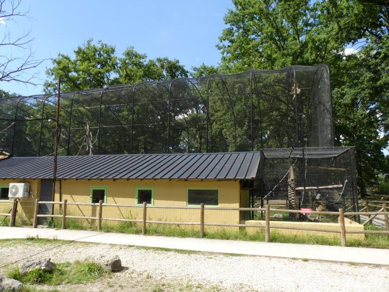 Volière des singes