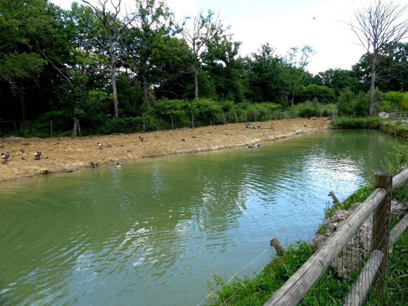 Plan d'eau