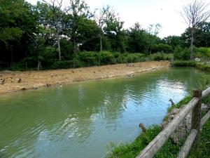 Plan d'eau