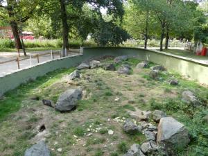 Marmotte