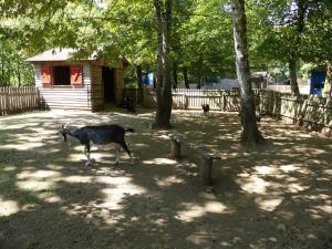 Petite ferme