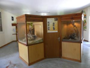 Vivarium